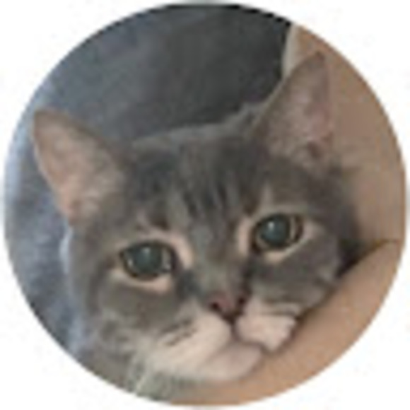 Meet your Posher, Brenda - Picture 1 of 1